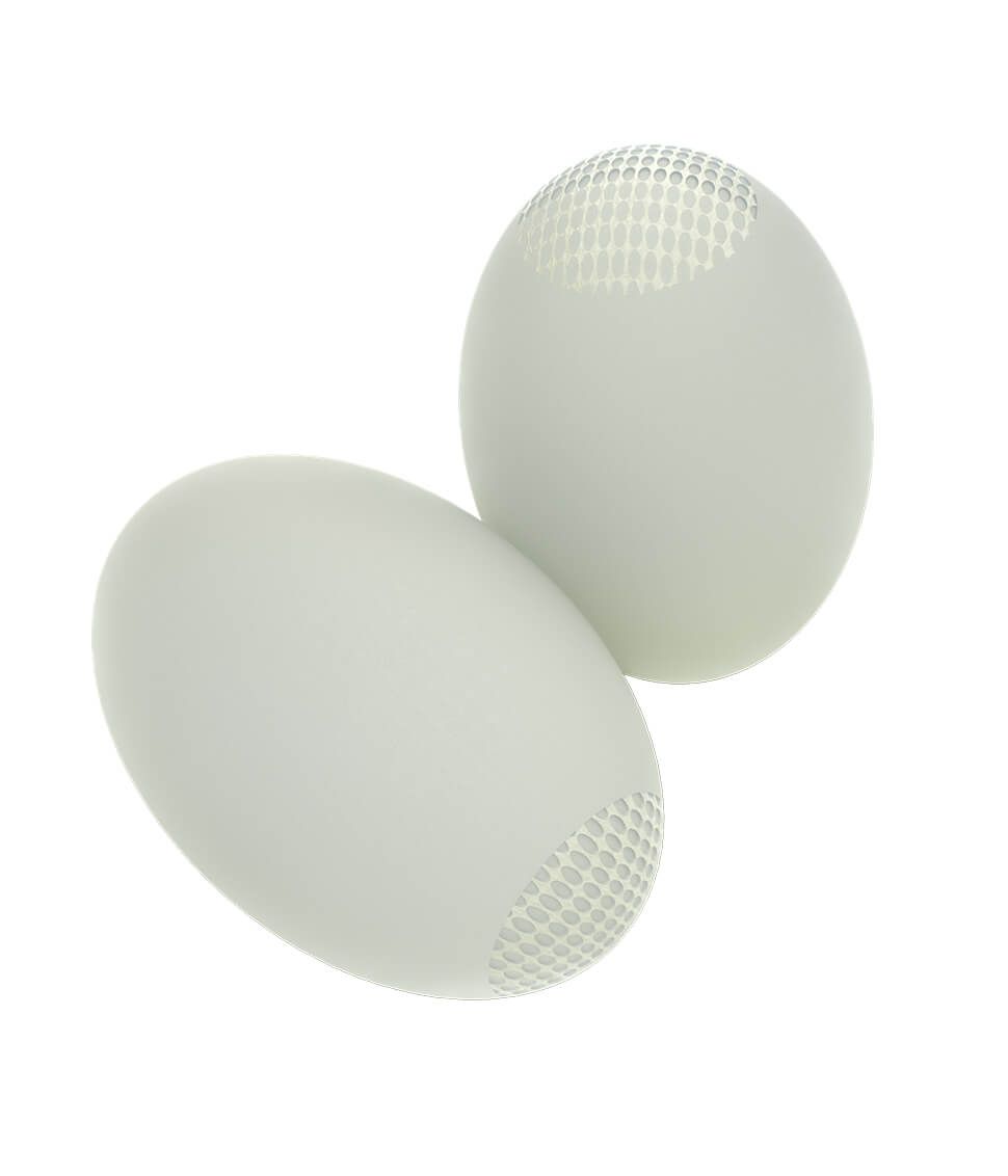 خيار Testi10 Firm