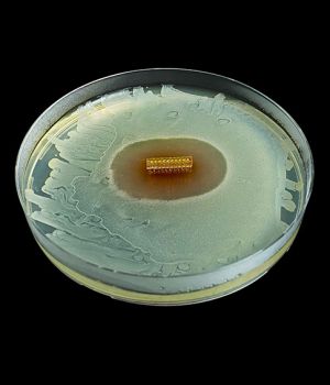 HydroShield&trade; Coating