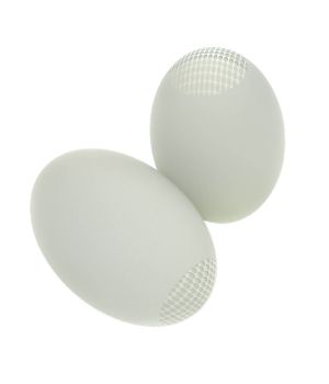 خيار Testi10 Firm